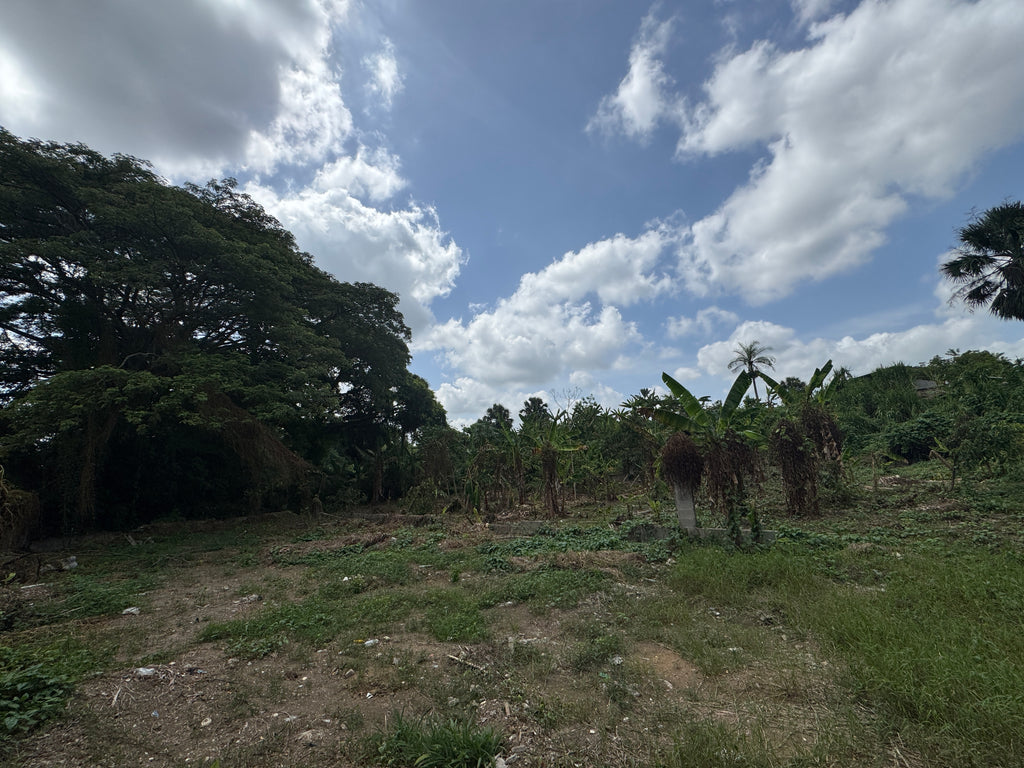 3 tareas de venta en Juan López