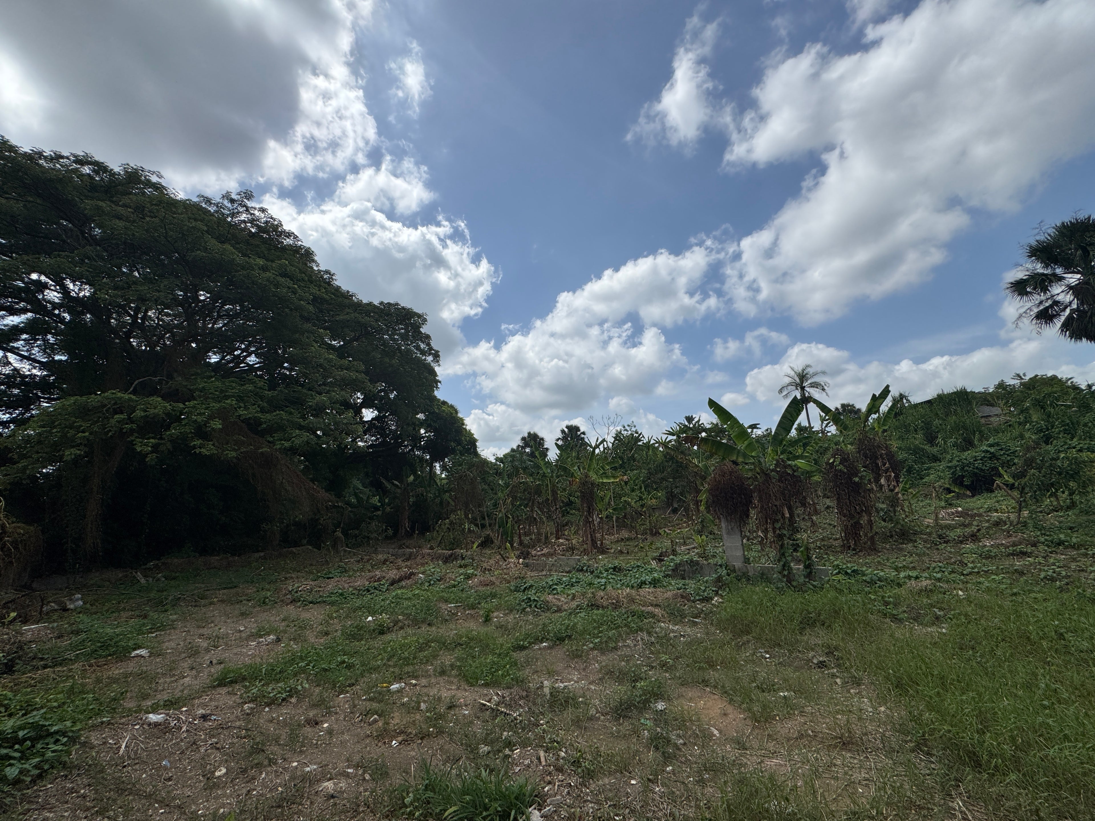 3 tareas de venta en Juan López