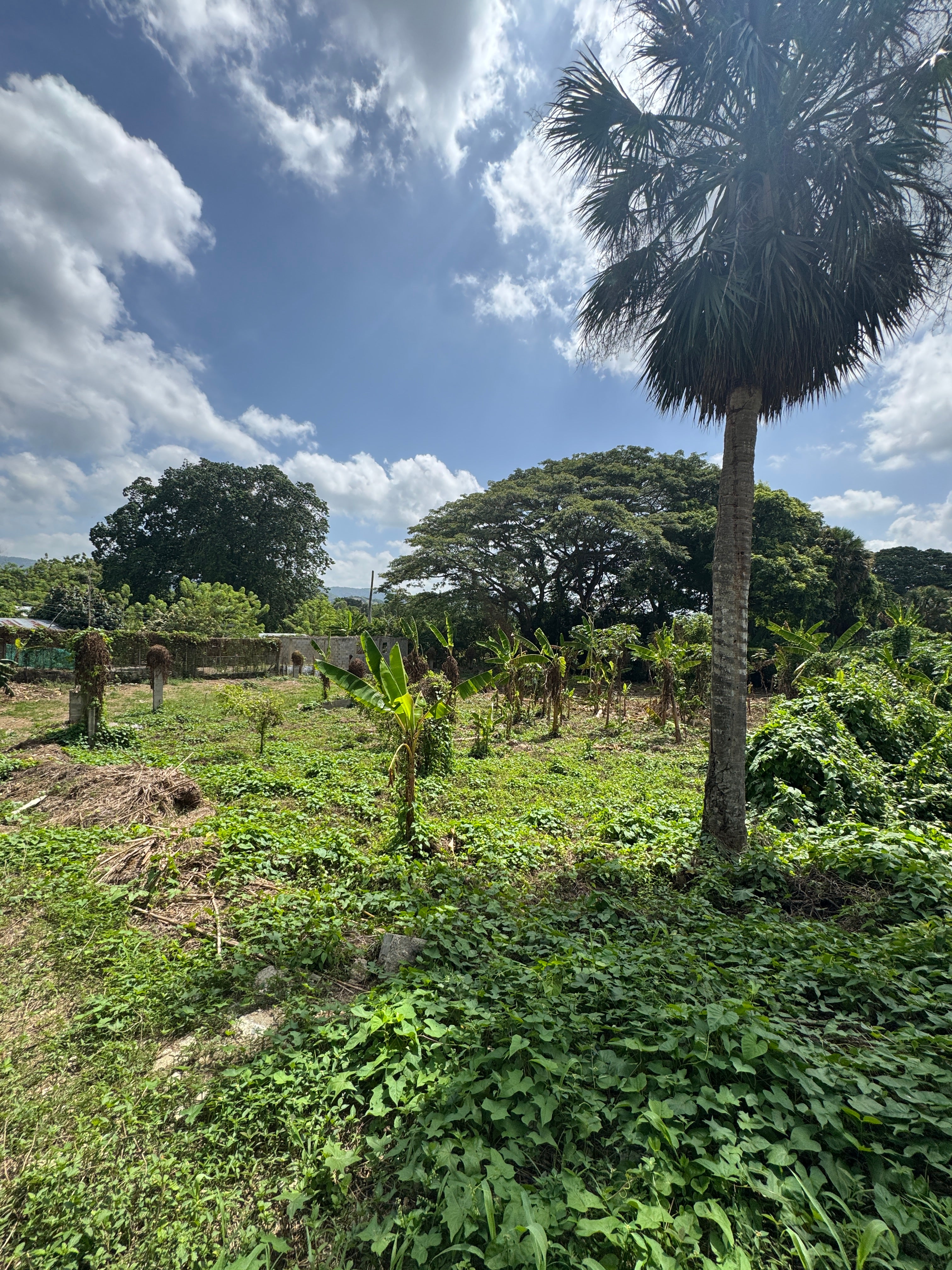 3 tareas de venta en Juan López